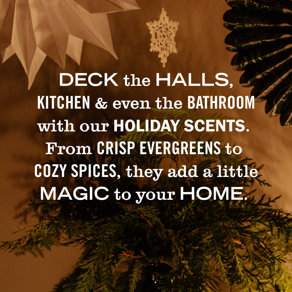 Holiday Seasonal Dish Soap for Kitchen Cleanup Collection | Mrs. Meyer's Clean Day