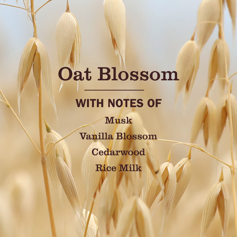 Oat Blossom Hand Care Soap & Refill Set | Mrs. Meyer's Clean Day