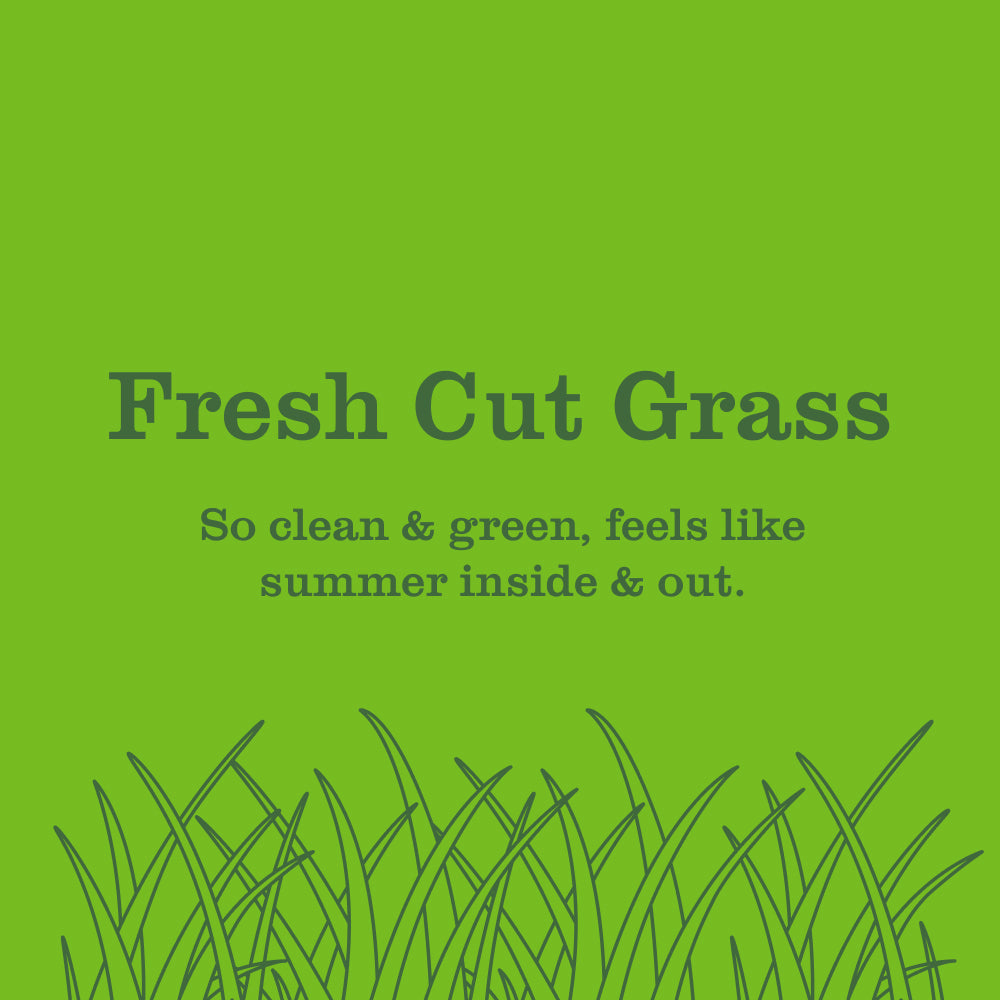 Fresh Cut Grass Freshening Room Spray | Mrs. Meyer's Clean Day