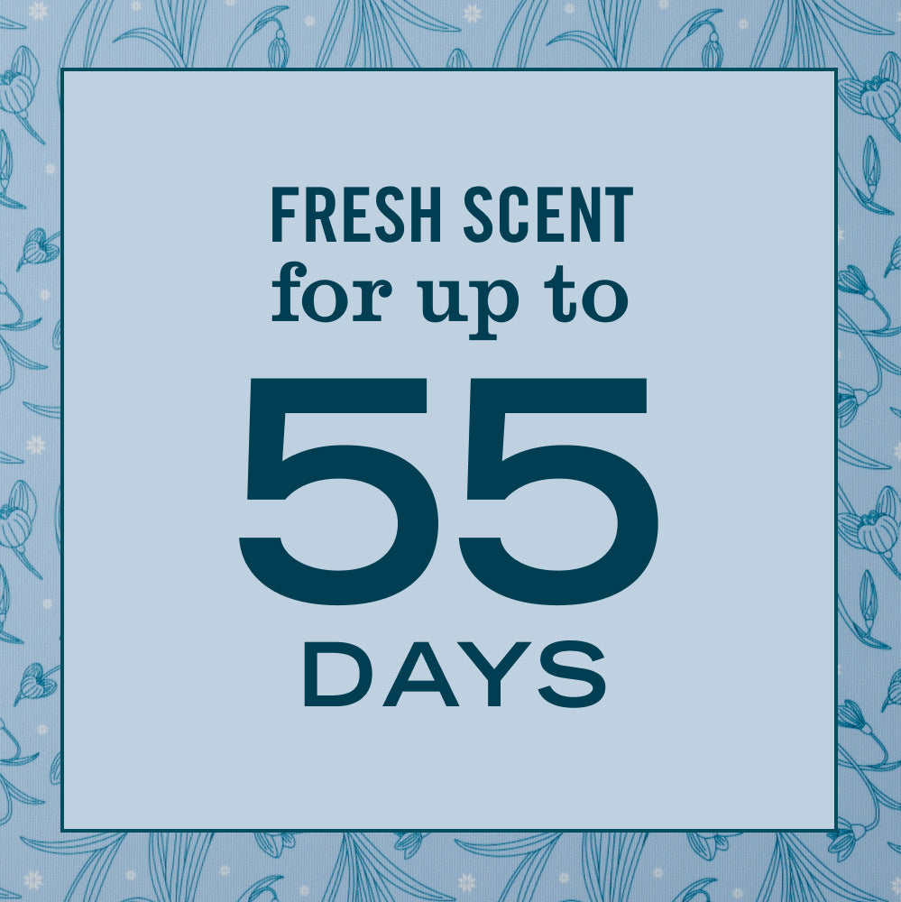 Snowdrop Plug-In Scent Refill 2-Pack | Mrs. Meyer's Clean Day