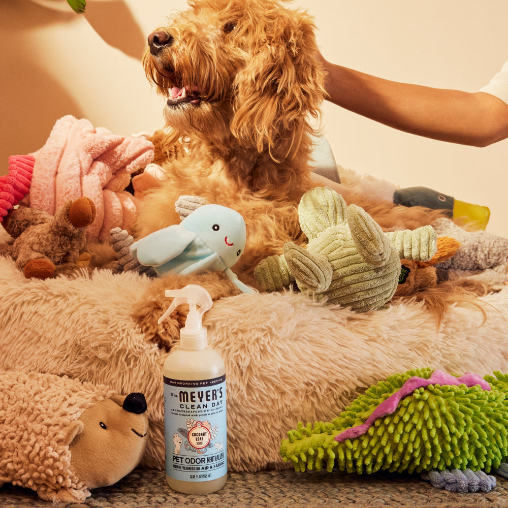 Pet Cleaning Essentials Set Gift-Ready | Mrs. Meyer's Clean Day