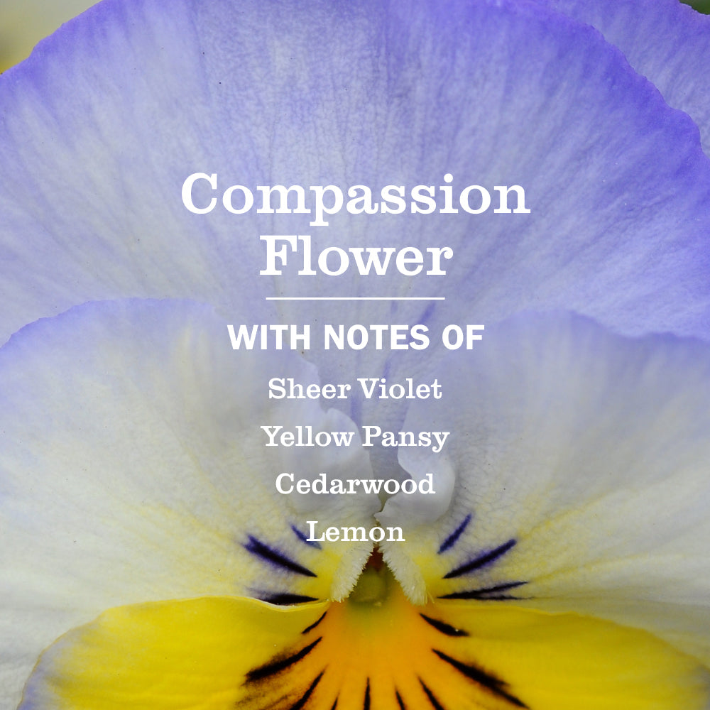 Compassion Flower Plug-In Scent Refill 2-Pack | Mrs. Meyer's Clean Day