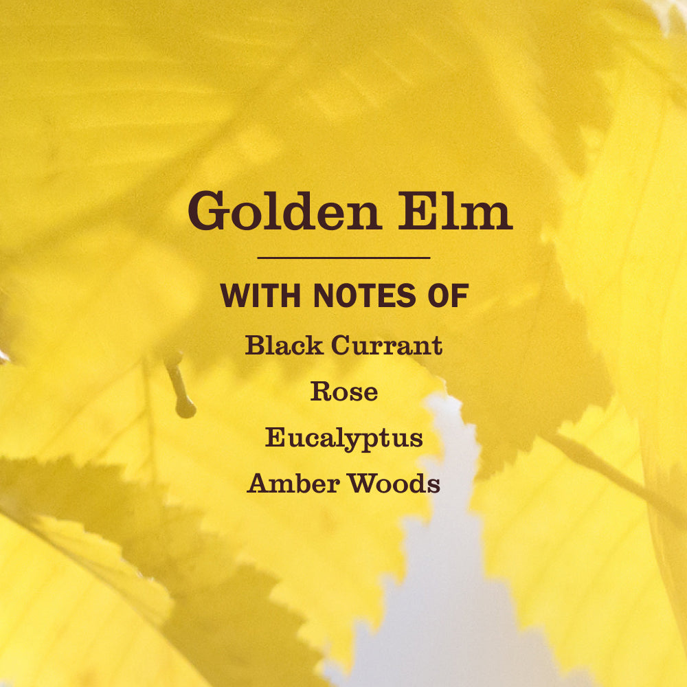 Golden Elm Hand Care Soap | Mrs. Meyer's Clean Day