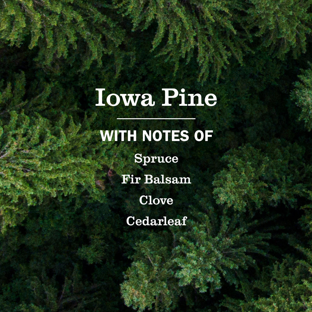 Iowa Pine Plug-In Scent Refill 2-Pack | Mrs. Meyer's Clean Day