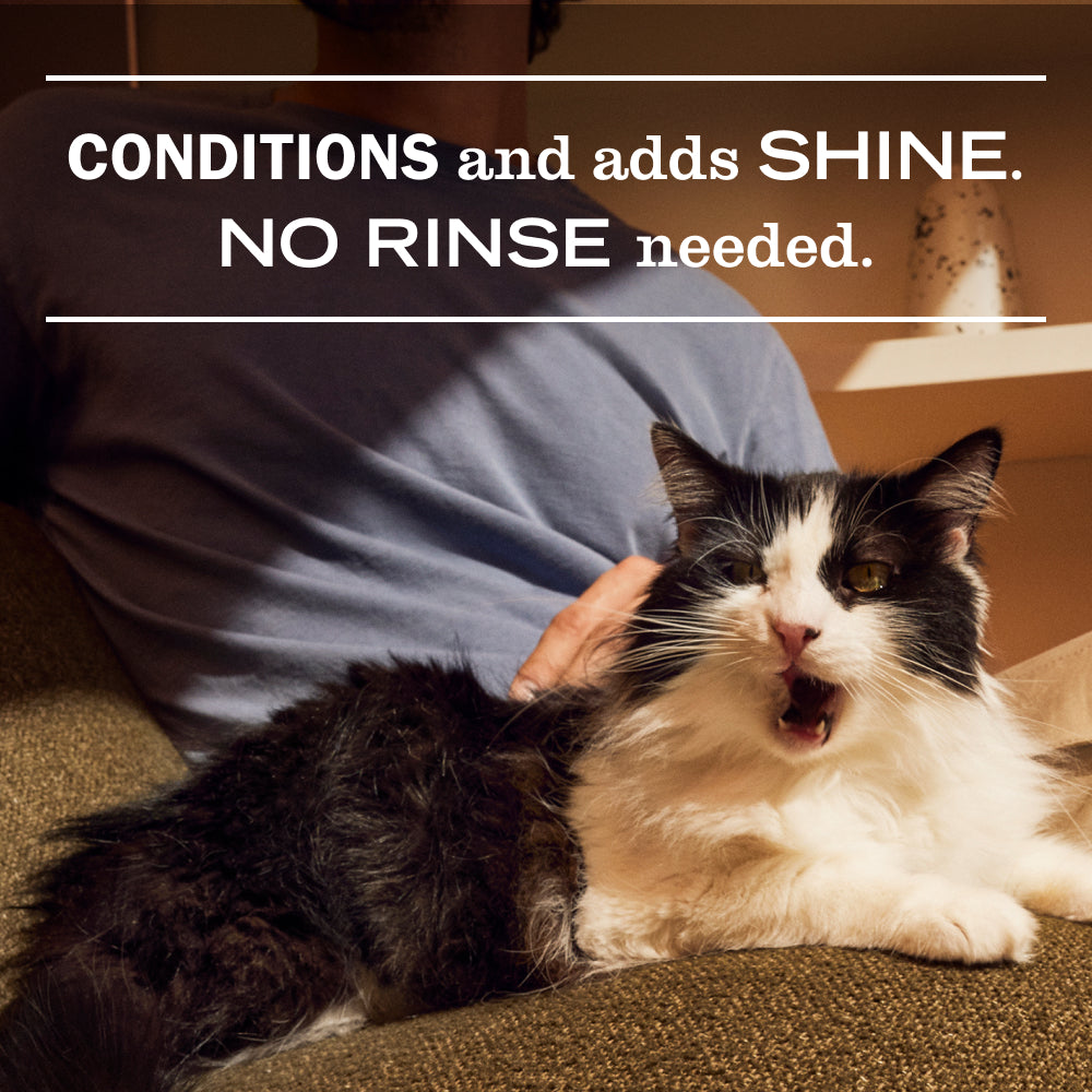 Cat Care Set Gift-Ready | Mrs. Meyer's Clean Day