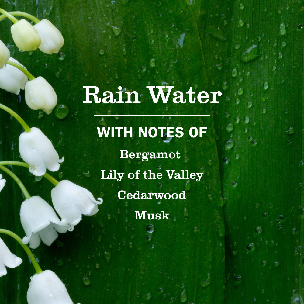 Rain Water Plug-In Scented Oil Warmer Starter Set | Mrs. Meyer's Clean Day