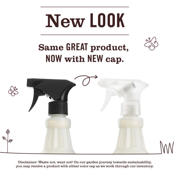 Dewdrop Freshening Room Spray | Mrs. Meyer's Clean Day