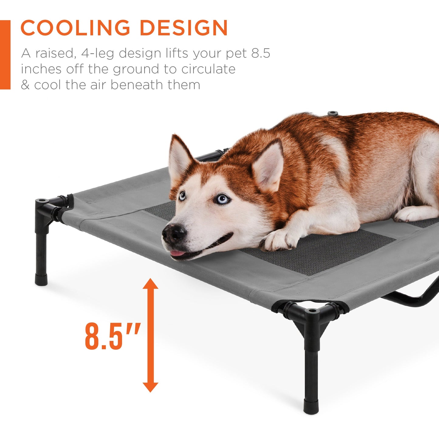 36in Outdoor Raised Cooling Pet Dog Bed with Canopy Travel Bag with practical outdoor-ready details