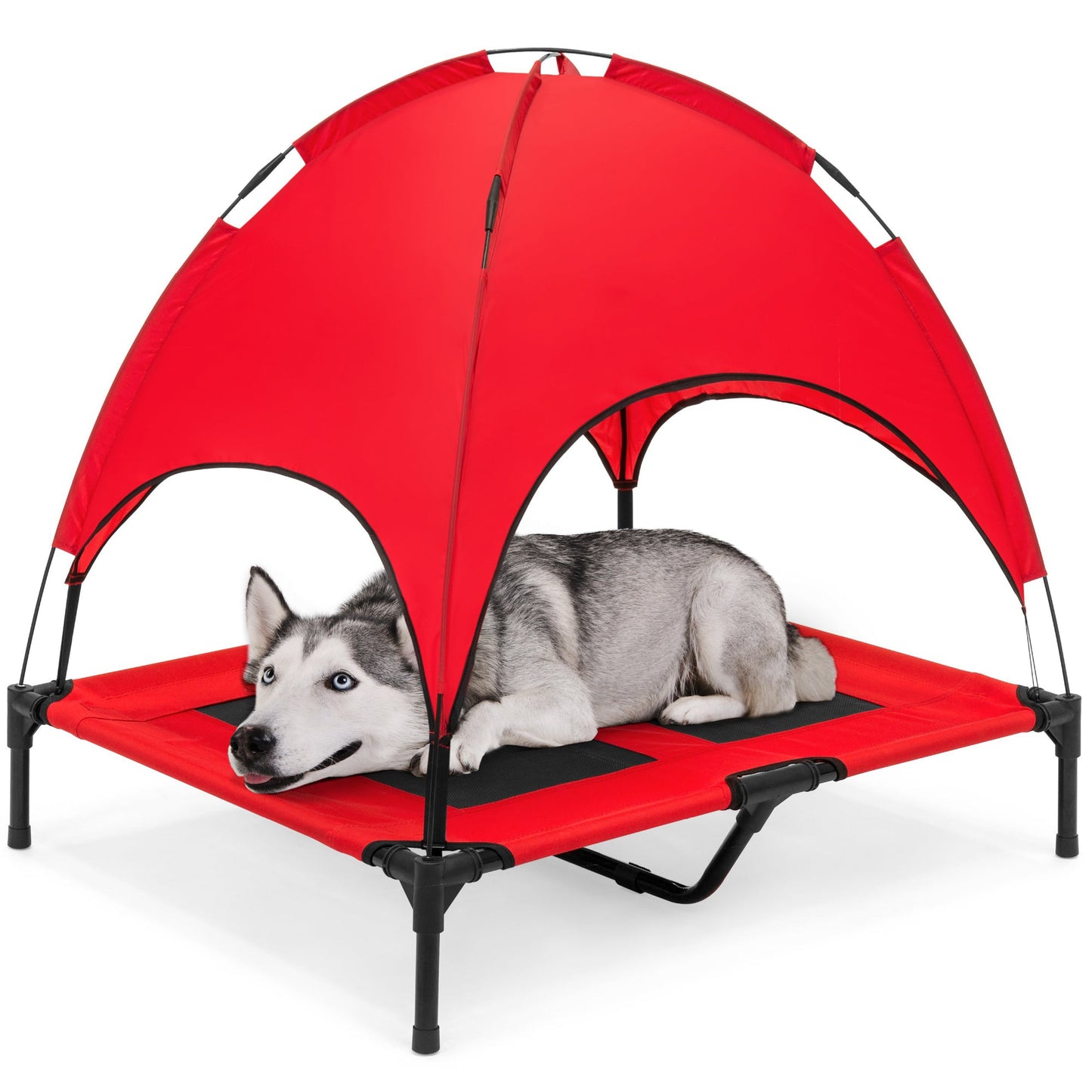 36in Outdoor Raised Cooling Pet Dog Bed with Canopy Travel Bag with practical outdoor-ready details