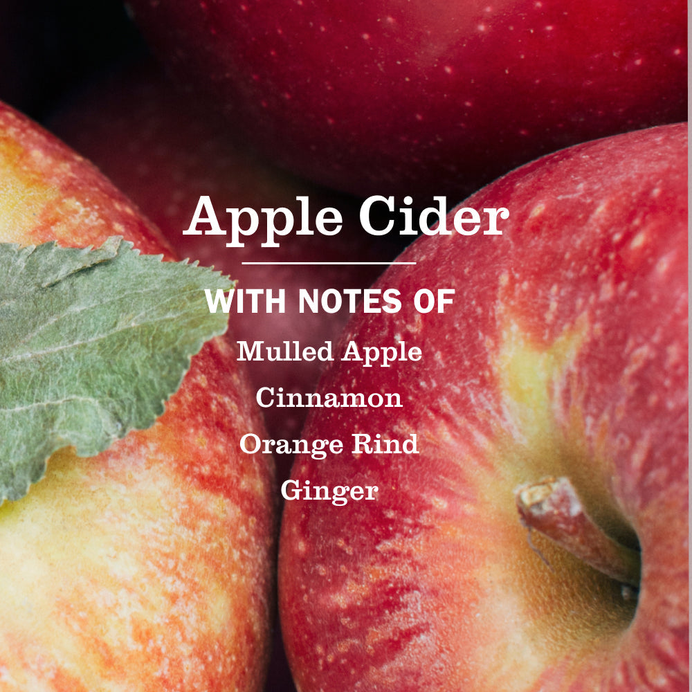 Apple Cider Dish Soap Value 3-Count Bundle | Mrs. Meyer's Clean Day