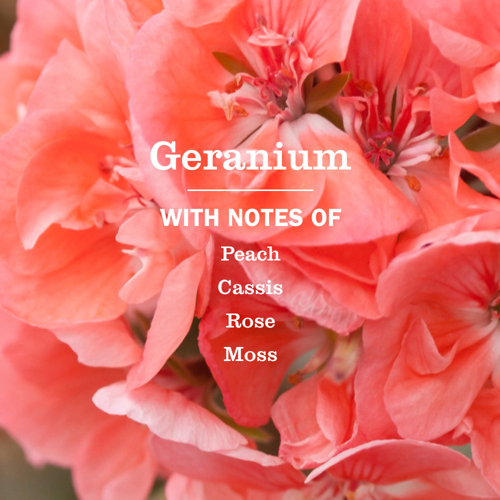 Geranium Hand Care Soap | Mrs. Meyer's Clean Day