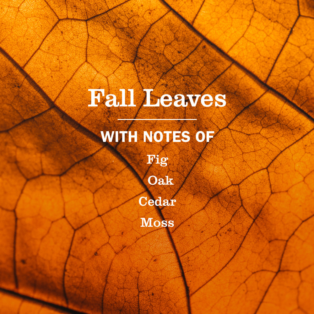 Fall Leaves Hand Care Soap | Mrs. Meyer's Clean Day