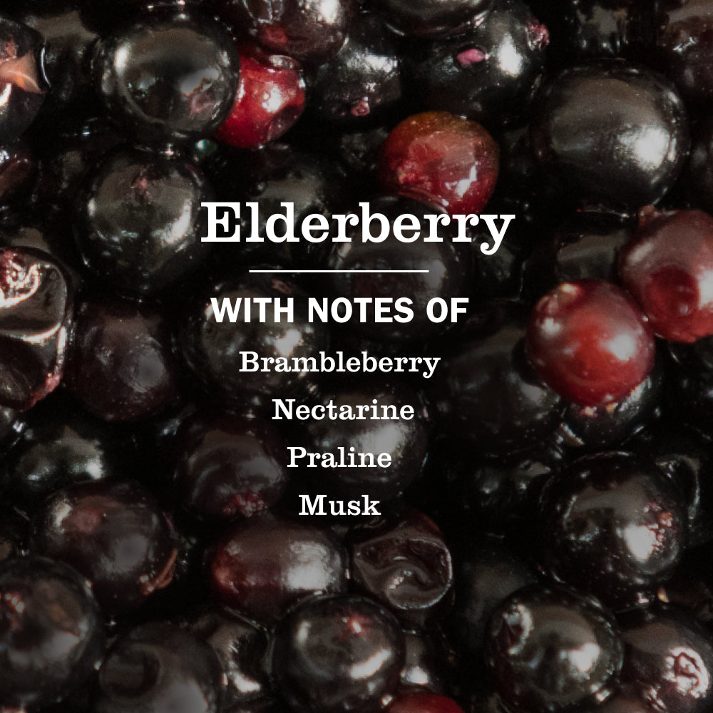 Elderberry Dish Soap for Kitchen Cleanup | Mrs. Meyer's Clean Day