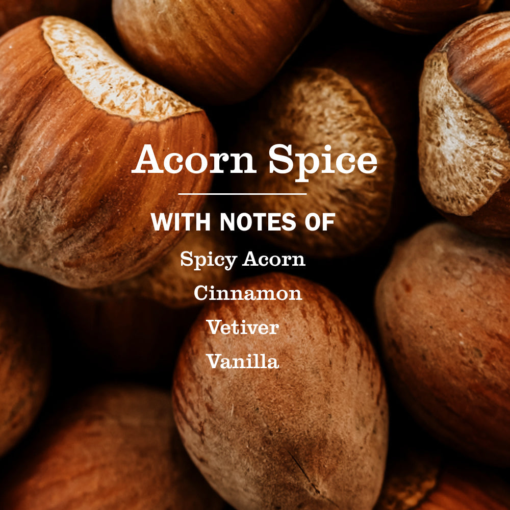 Acorn Spice Kitchen Basics Bundle | Mrs. Meyer's Clean Day