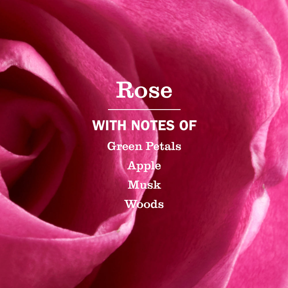 Rose Hand Care Soap | Mrs. Meyer's Clean Day