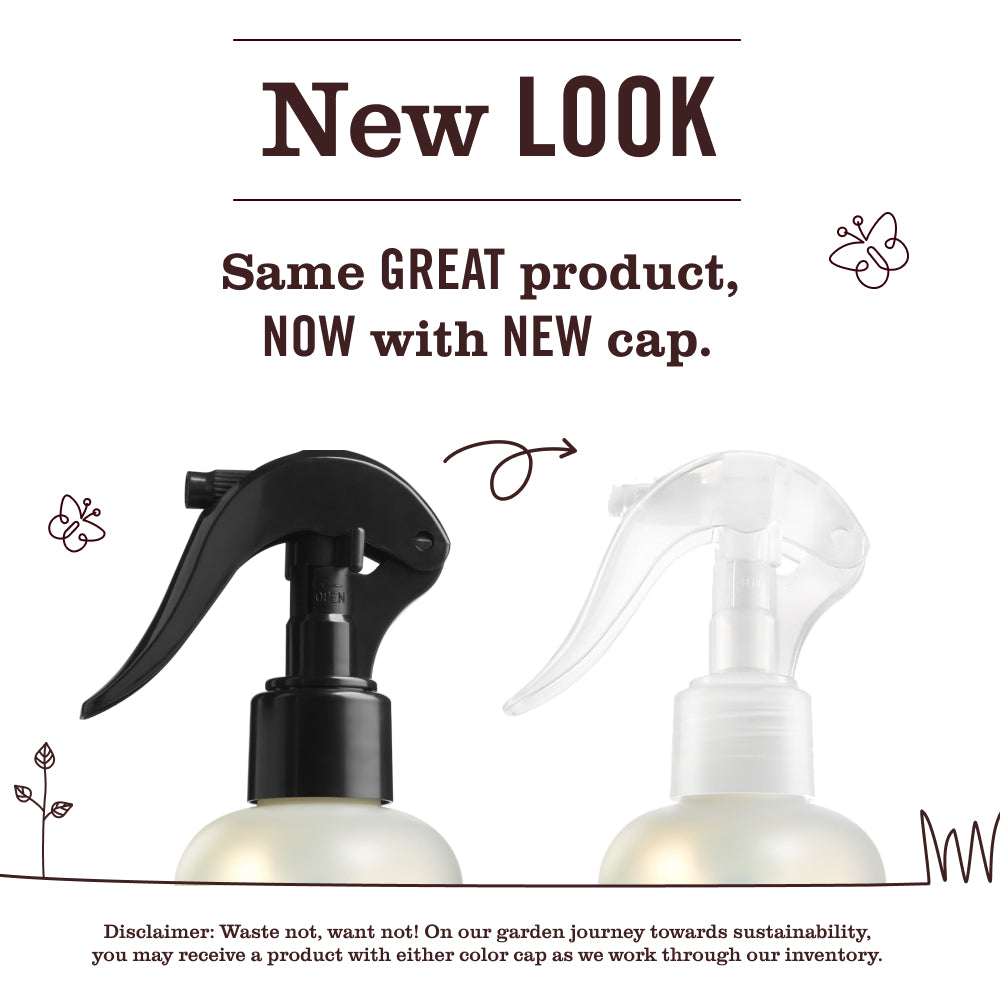 Blueberry Freshening Room Spray | Mrs. Meyer's Clean Day