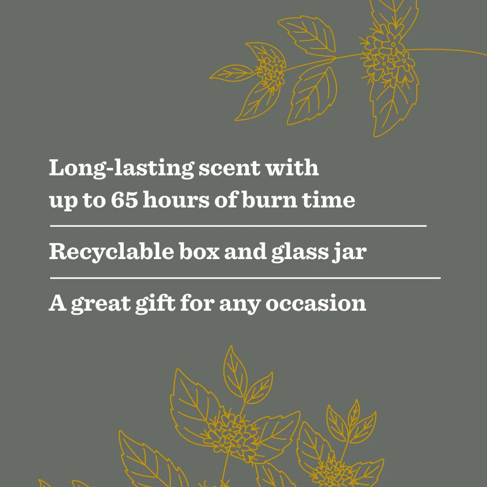 Wild Mint Garden Heirloom Candle Home Essential | Mrs. Meyer's Clean Day
