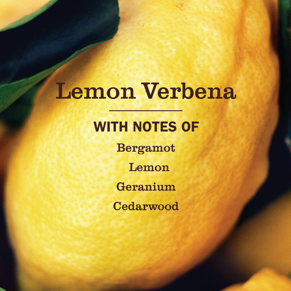 Lemon Verbena Multi-Surface Concentrate Home Care | Mrs. Meyer's Clean Day