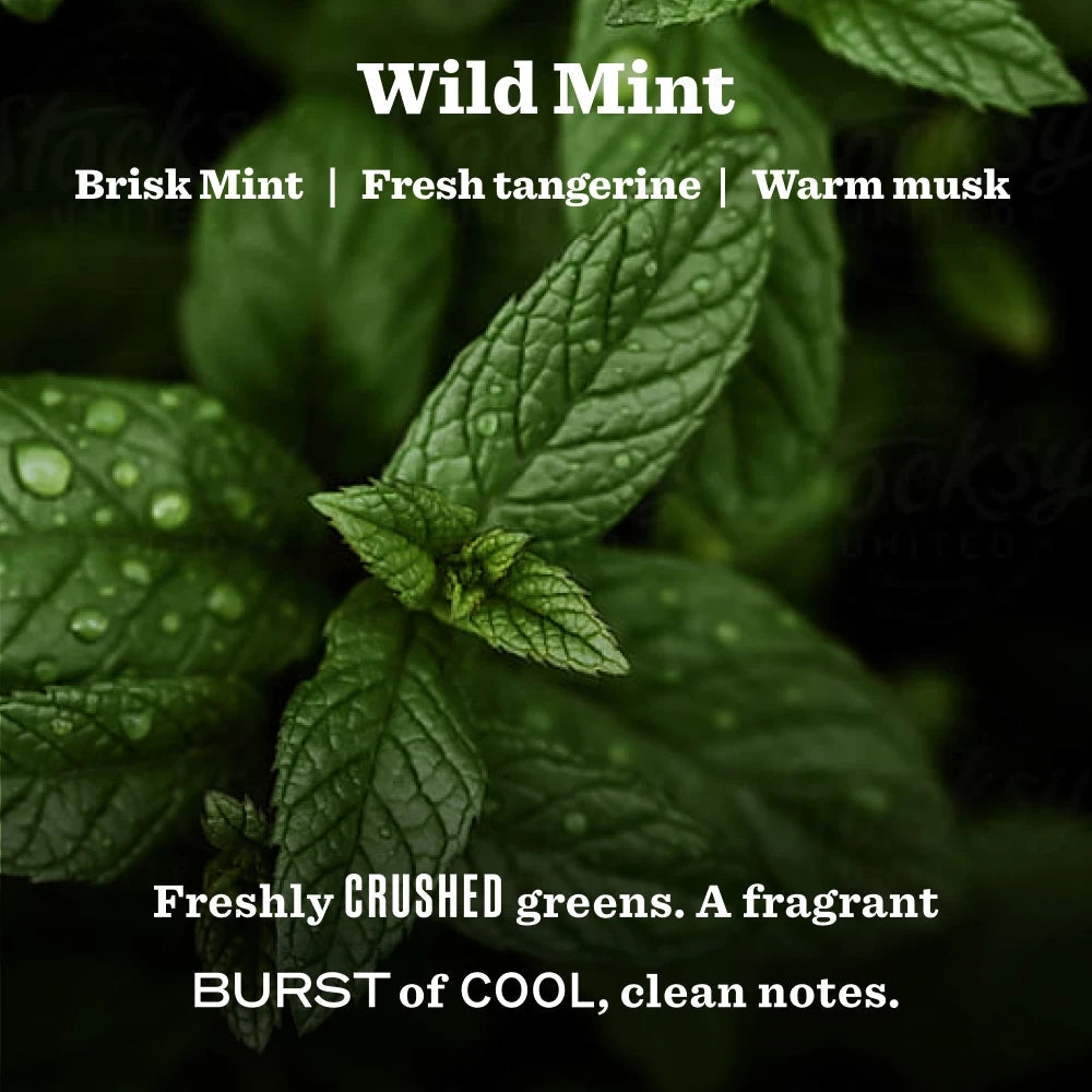 Wild Mint Garden Heirloom Candle Home Essential | Mrs. Meyer's Clean Day
