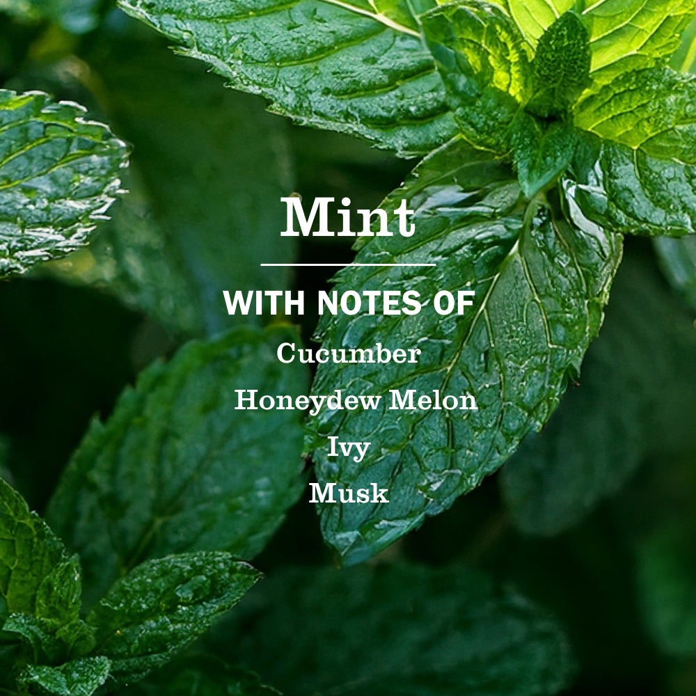 Mint Hand Care Soap 3-Count Bundle | Mrs. Meyer's Clean Day