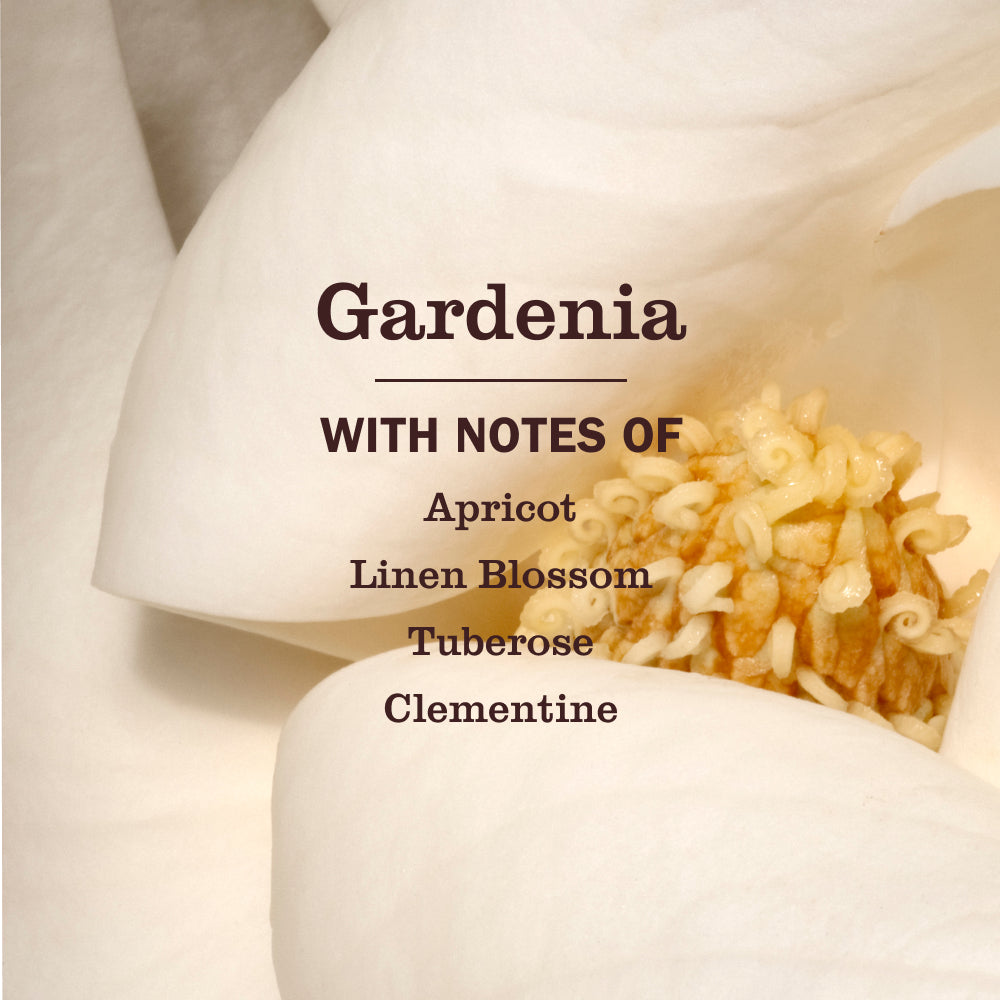 Gardenia Hand Care Soap | Mrs. Meyer's Clean Day