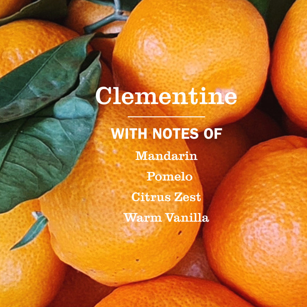 Clementine Dish Soap for Kitchen Cleanup | Mrs. Meyer's Clean Day