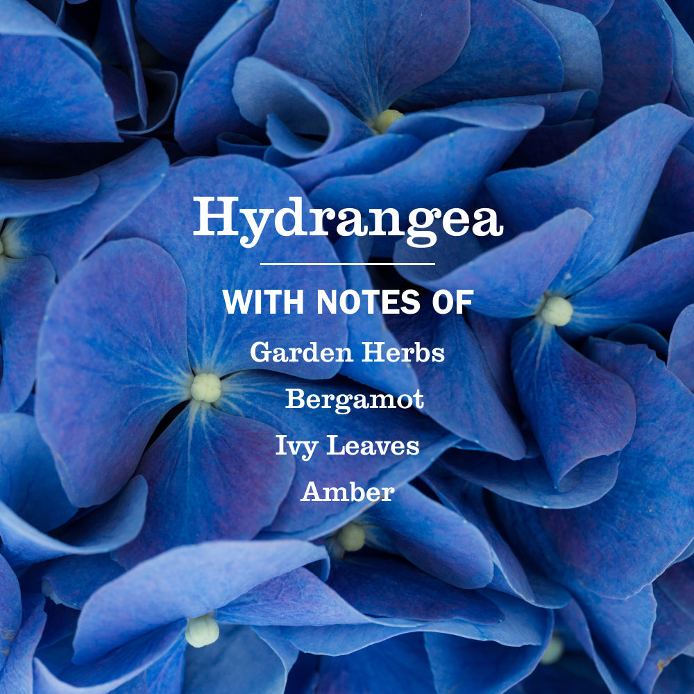 Hydrangea Hand Care Soap | Mrs. Meyer's Clean Day