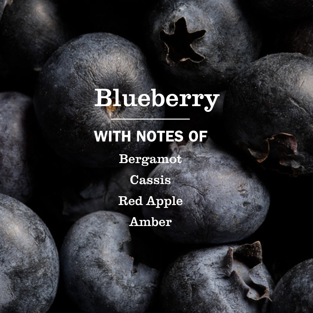 Blueberry Everyday Surface Cleaner | Mrs. Meyer's Clean Day