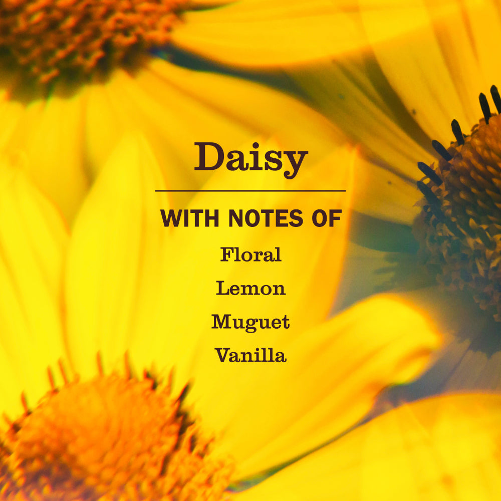 Daisy Dish Soap Value 3-Count Bundle | Mrs. Meyer's Clean Day