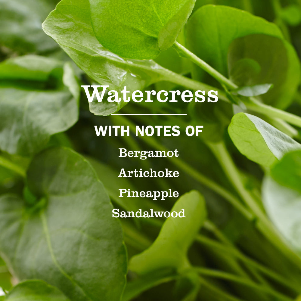 Watercress Hand Care Soap | Mrs. Meyer's Clean Day