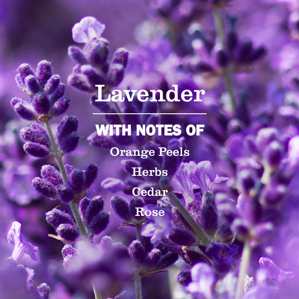 Lavender Non-Aerosol Freshening Room Spray | Mrs. Meyer's Clean Day