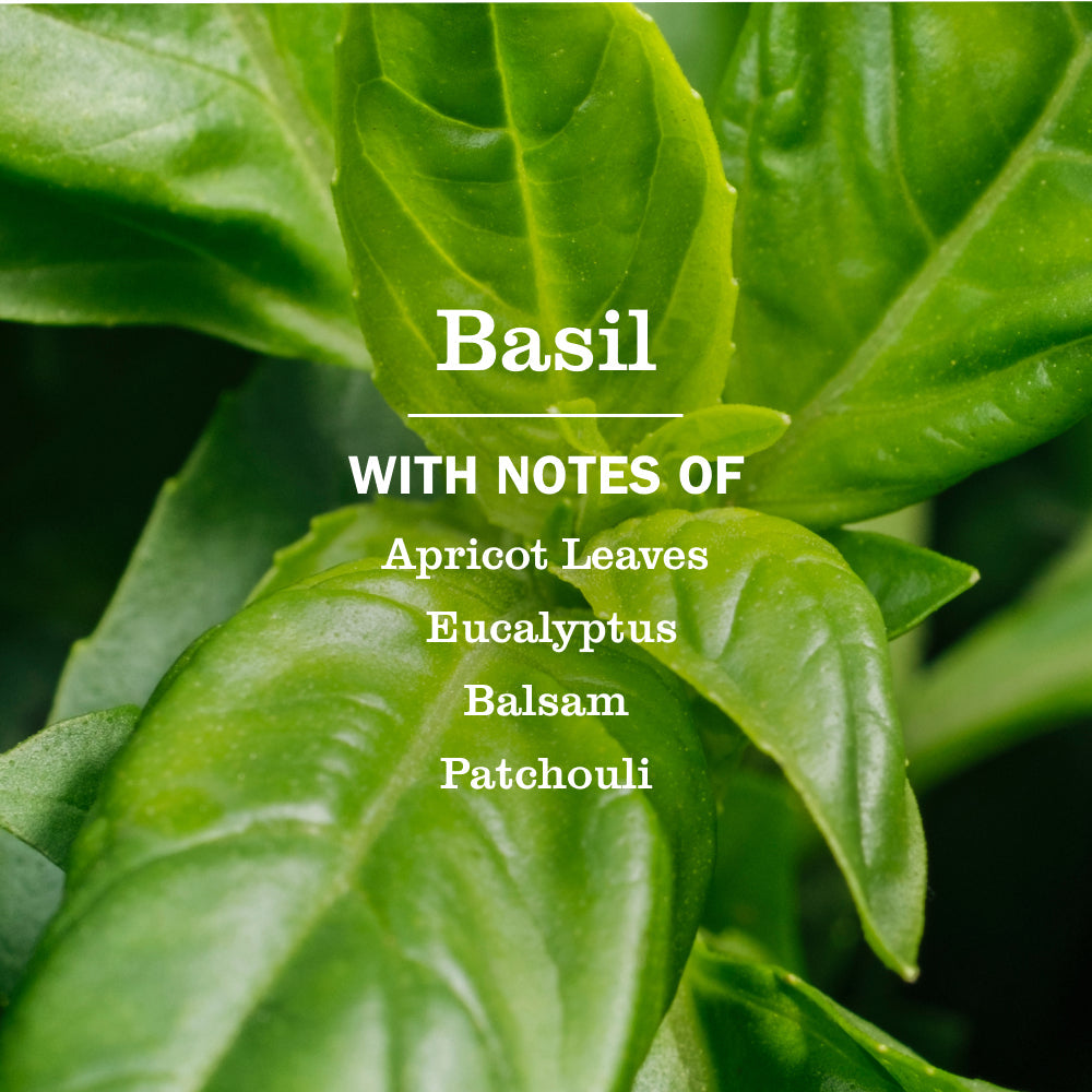 Basil Freshening Room Spray | Mrs. Meyer's Clean Day