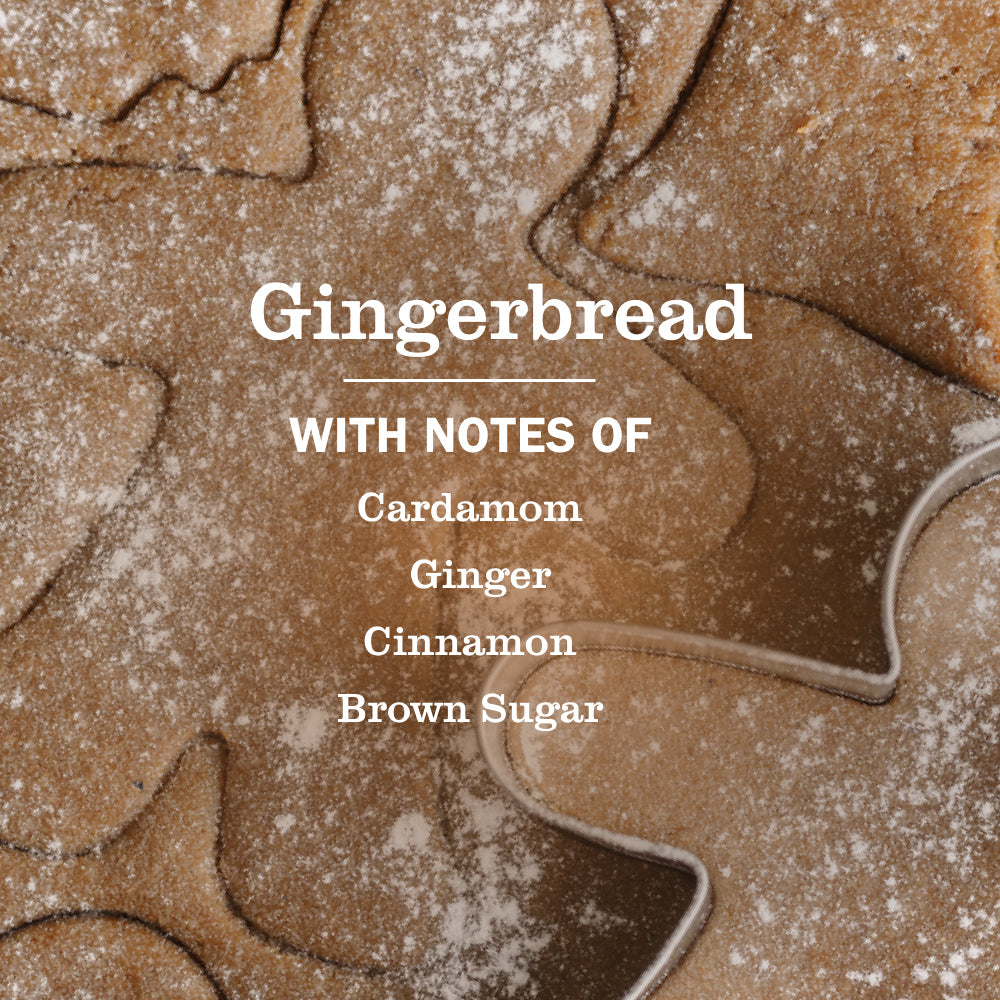 Gingerbread Everyday Surface Cleaner | Mrs. Meyer's Clean Day