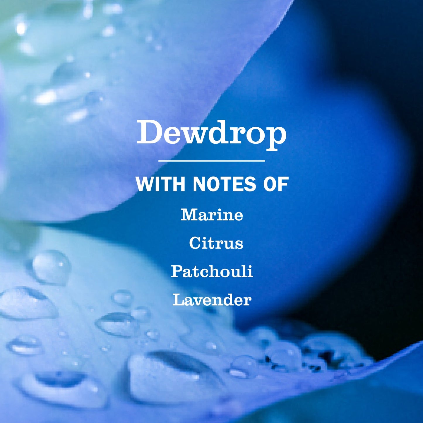 Dewdrop Everyday Surface Cleaner | Mrs. Meyer's Clean Day