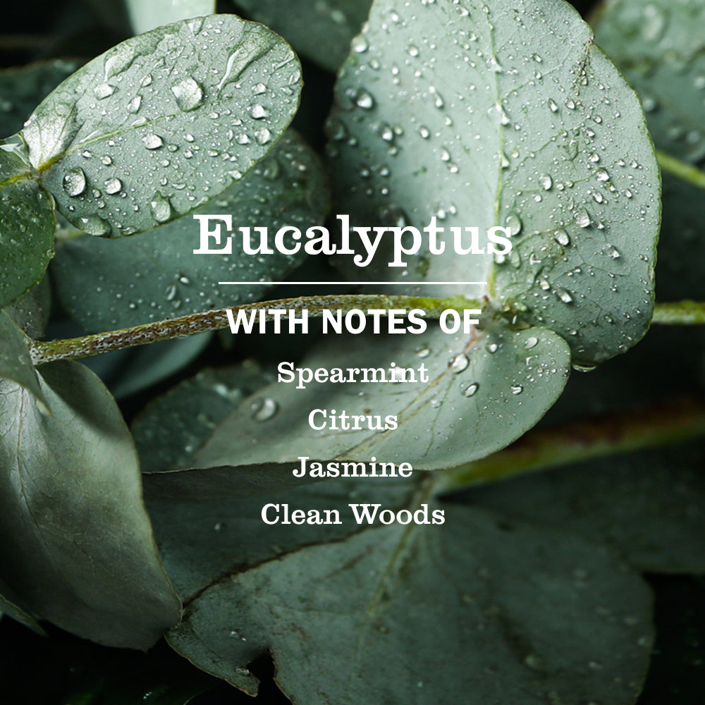 Eucalyptus Everyday Surface Cleaner | Mrs. Meyer's Clean Day
