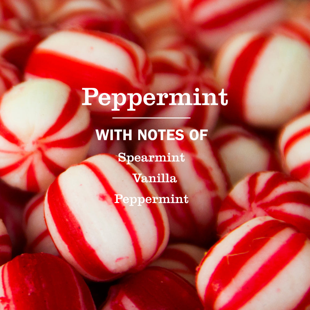 Peppermint Dish Soap for Kitchen Cleanup | Mrs. Meyer's Clean Day