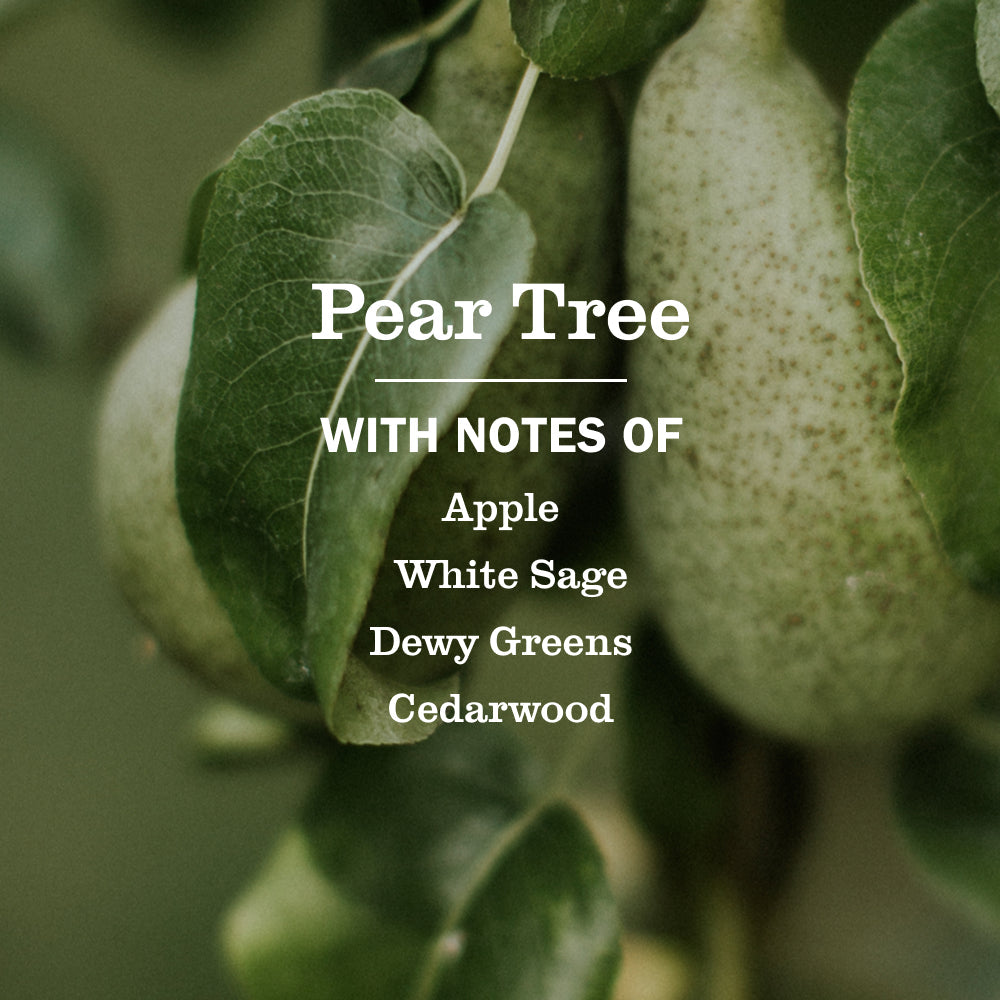 Pear Tree Everyday Surface Cleaner | Mrs. Meyer's Clean Day