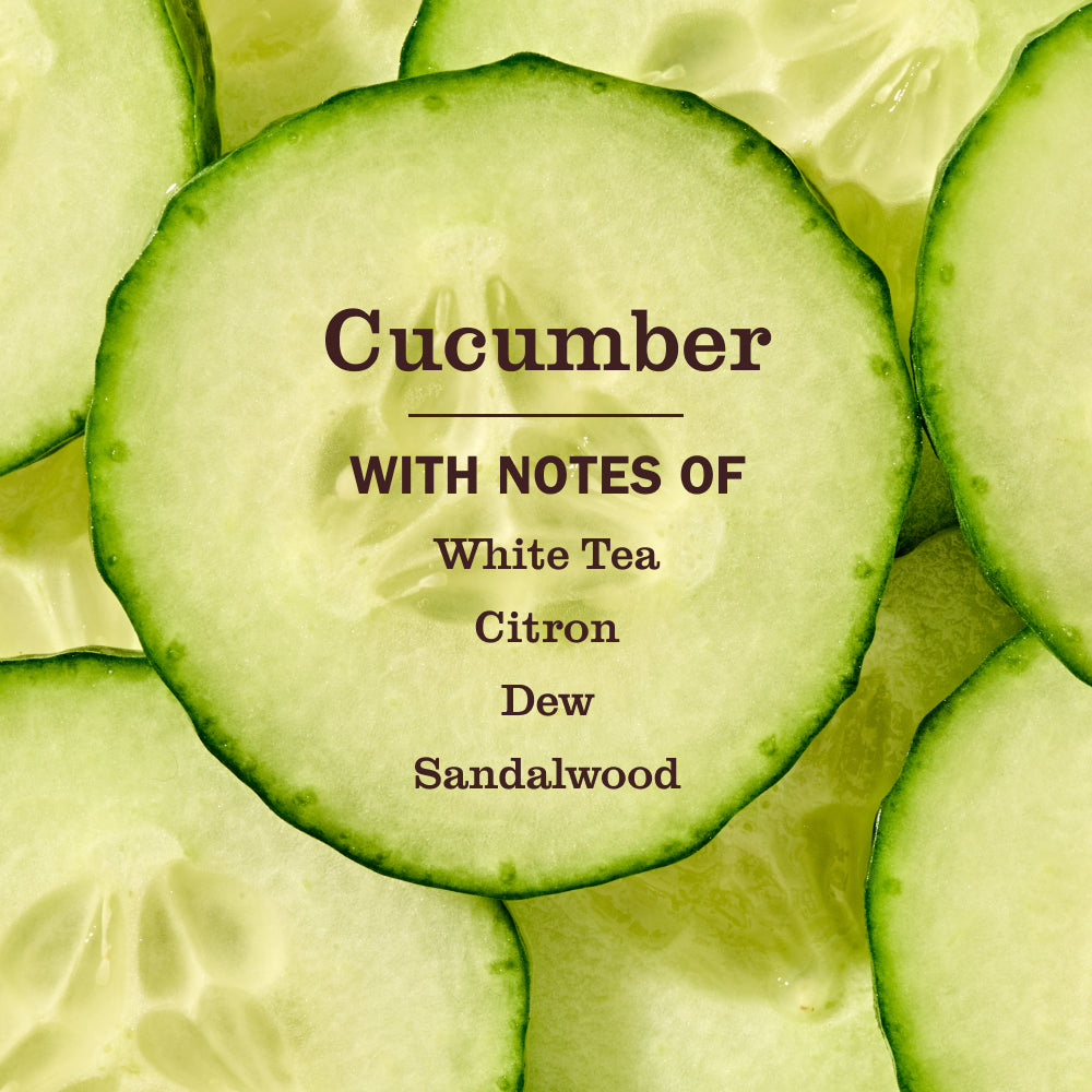Cucumber Hand Care Soap | Mrs. Meyer's Clean Day