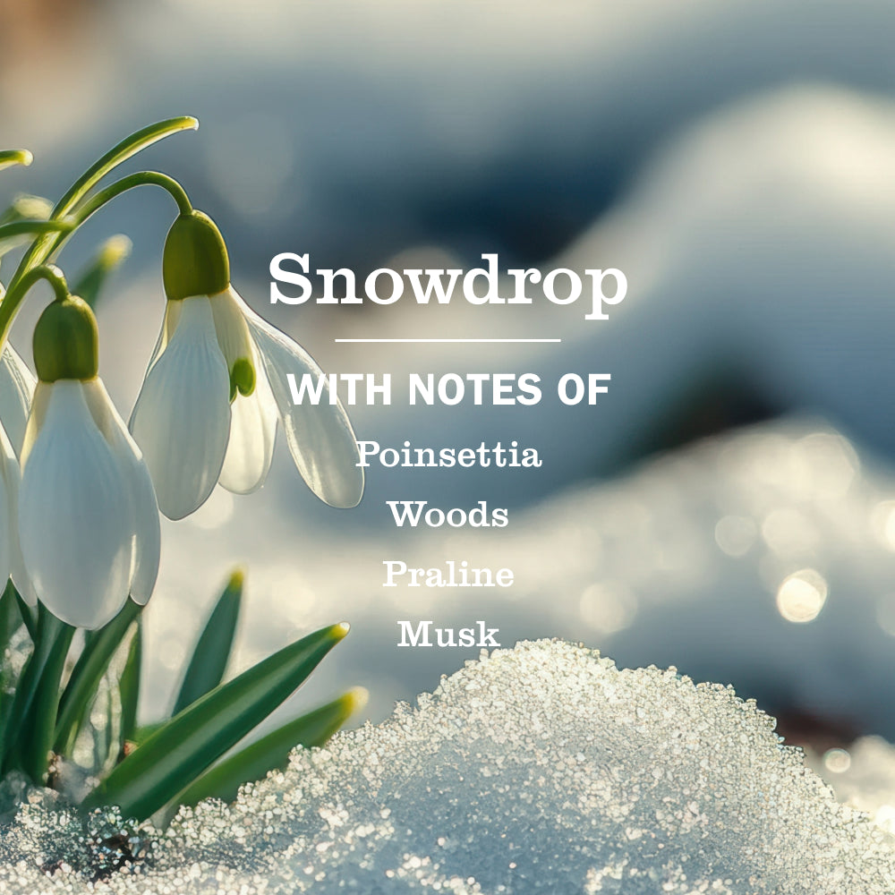 Snowdrop Multi-Surface Cleaning Spray 3-Count Bundle | Mrs. Meyer's Clean Day