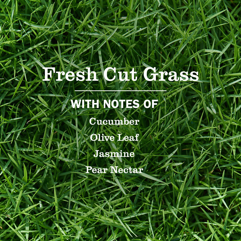 Fresh Cut Grass Dish Soap for Kitchen Cleanup | Mrs. Meyer's Clean Day