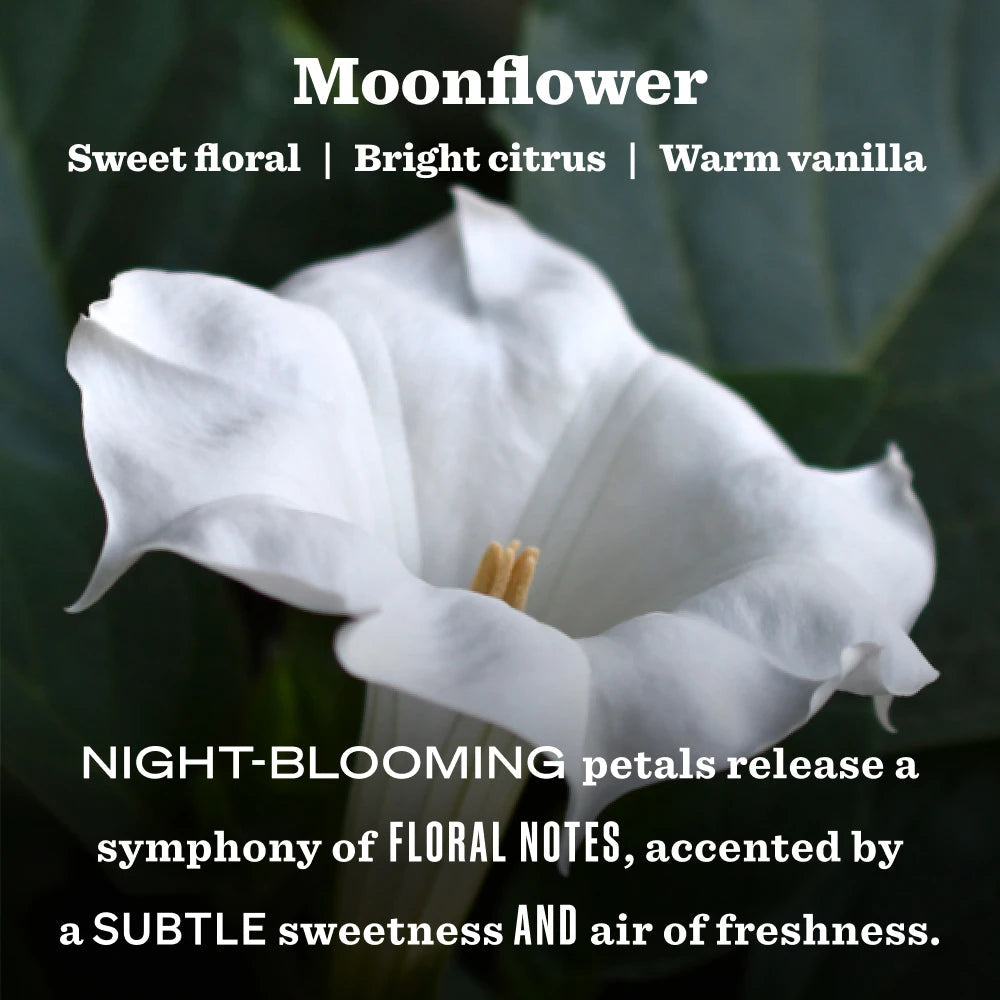 Moonflower Garden Heirloom Candle Home Essential | Mrs. Meyer's Clean Day