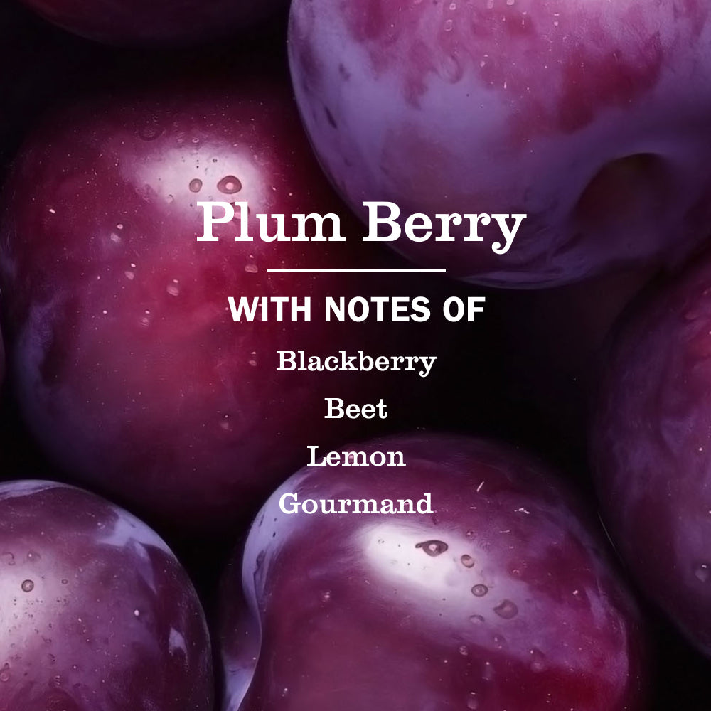 Plum Berry Hand Care Soap | Mrs. Meyer's Clean Day