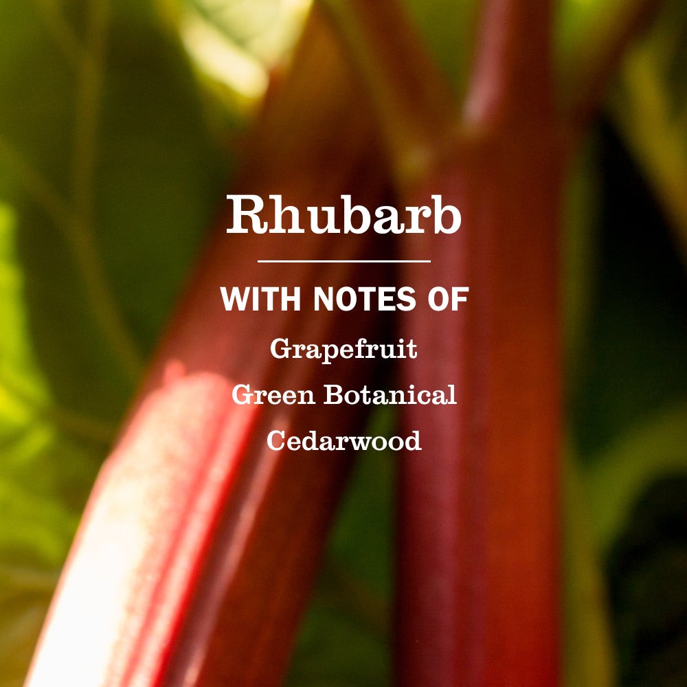 Rhubarb Hand Care Soap | Mrs. Meyer's Clean Day