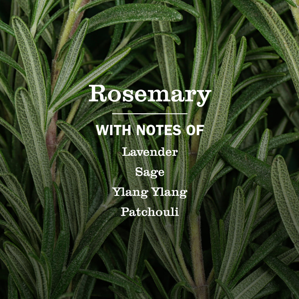 Rosemary Hand Care Soap | Mrs. Meyer's Clean Day